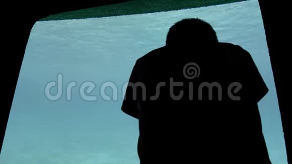 水下游客的大观察窗附近一个未被认出的小男孩剪短头发的剪影视频的预览图