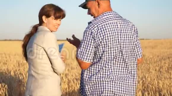 商人农民在田间讨论小麦作物商业团队合作碾碎谷物和收获农学家视频的预览图