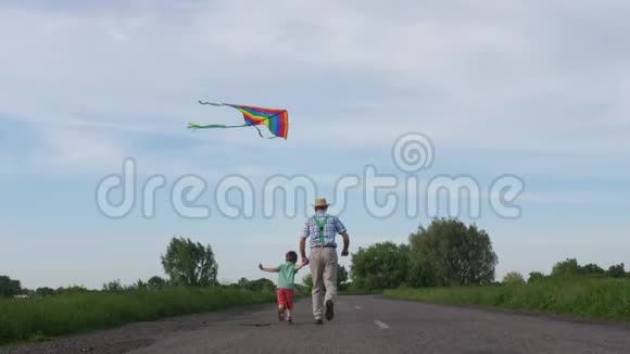 爷爷带着孙子在乡下放风筝视频的预览图