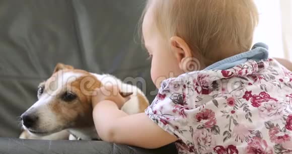 有狗的快乐孩子与杰克罗素的肖像女孩视频的预览图