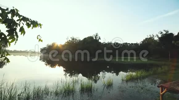 日出时的宁静湖景早上雾在水面上视频的预览图