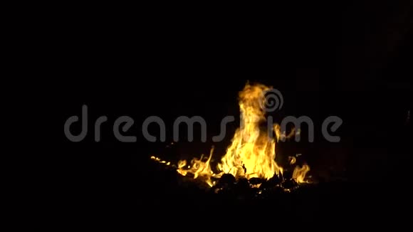 晚上的篝火近景慢动作森林里的篝火视频的预览图