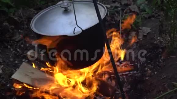 在火堆上在秋林的明火上露营水壶视频的预览图