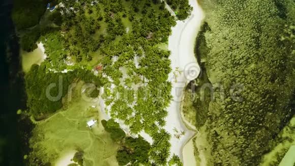 热带岛屿棕榈树和白色沙滩顶部景色菲律宾的海滩视频的预览图