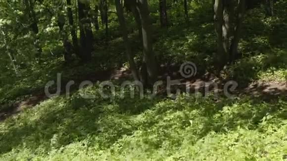 骑自行车的人骑着山地车在青山上避暑空中射击视频的预览图