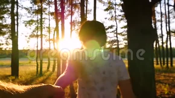 一对夫妇在日落时跑步一个女人牵着一个男人的手在日落时穿过森林视频的预览图