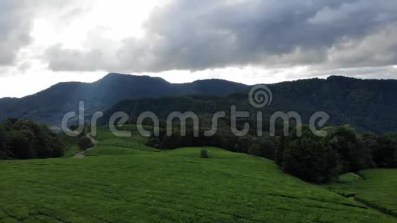 空中无人机飞行在绿色雨林丛林山脉在背景旅游度假旅游大自然视频的预览图