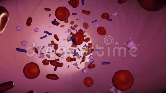 血液中的红细胞和病毒在动脉无缝环中视频的预览图
