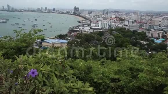 白天观赏芭堤雅海湾和城市的空中景色视频的预览图