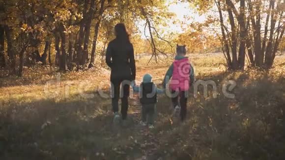 母亲和两个孩子在公园里散步享受美丽的秋天自然幸福的家庭在秋天散步视频的预览图