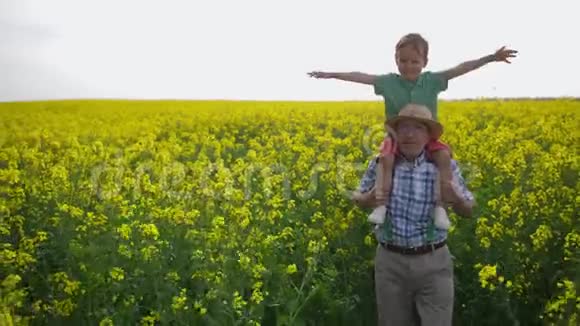 祖父和孙子在穿过田野时视频的预览图