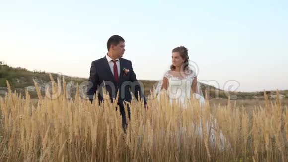 男人和女人走着牵着对方的手带着小麦穿过田野微笑着两个人的蜜月共同携手视频的预览图