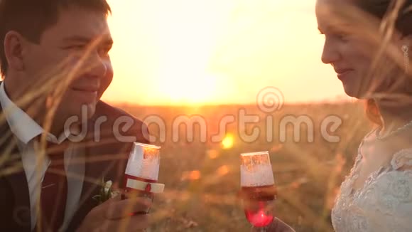 新娘和新郎正在喝香槟酒杯日落时坐在草地上互相微笑浪漫的夜晚视频的预览图