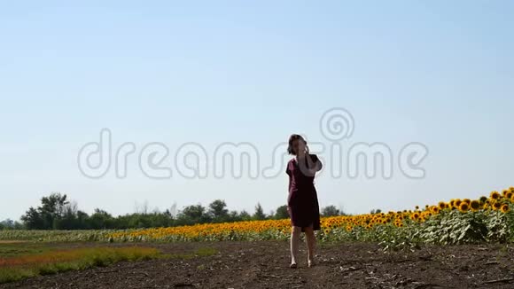 在阳光明媚的夏日一个女孩带着盛开的黄色向日葵沿着一片田野散步农业种植和生产视频的预览图