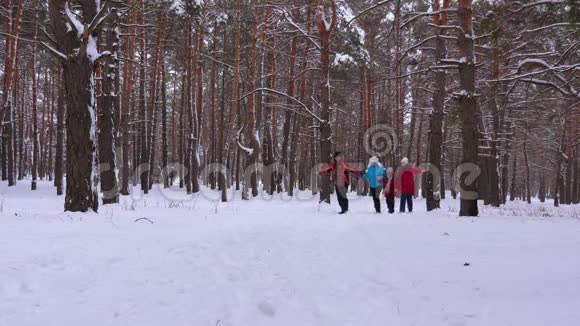 幸福的一家人穿过雪松公园笑了起来孩子们在冬天的森林里玩耍微笑着视频的预览图