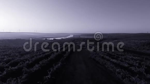 在巨大的农田和多瑙河上的空中无人机景观视频的预览图