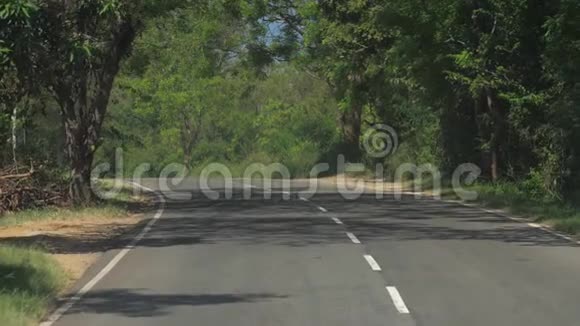 沥青路车辆行驶在树影高处视频的预览图