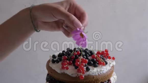 女性用鲜花装饰蛋糕特写时间流逝视频的预览图