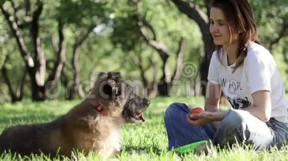 夏天一个年轻漂亮的女人在公园里和她的狗玩耍视频的预览图
