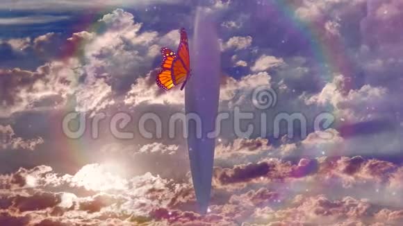 不明飞行物上的蝴蝶视频的预览图