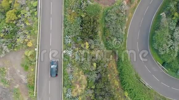 鸟瞰几辆汽车在国家公园的大量植物中穿过山脉中的蛇形石视频的预览图