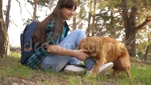 森林里的旅游女孩和一只狗停了下来美丽的女孩和宠物一起旅行情妇爱抚狗快乐的女性饲养员视频的预览图