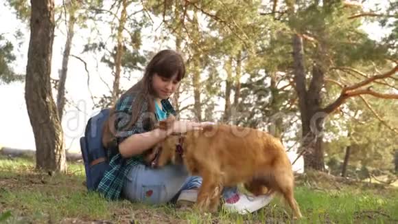 美丽的女孩和宠物一起旅行森林里的旅游女孩和一只狗停了下来情妇玩猎狗情妇视频的预览图