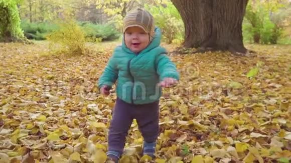 有趣的微笑1岁的男孩迈出了第一步并正在秋天的公园日落儿童概念视频的预览图