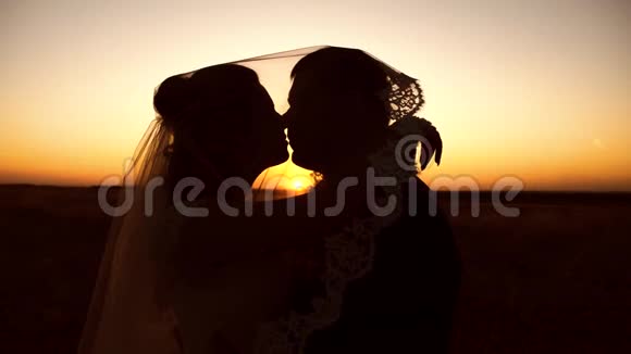 新娘和新郎在日落时亲吻和拥抱特写镜头浪漫的情侣在日落时接吻幸福的概念视频的预览图