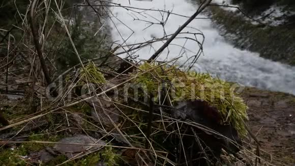 快速流动的瀑布背景上的干枝和苔藓在风景如画的河流上形成巨大的泡沫视频的预览图
