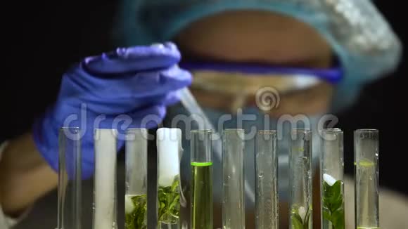 生物学家在绿色植物试管中加入氮保存实验视频的预览图
