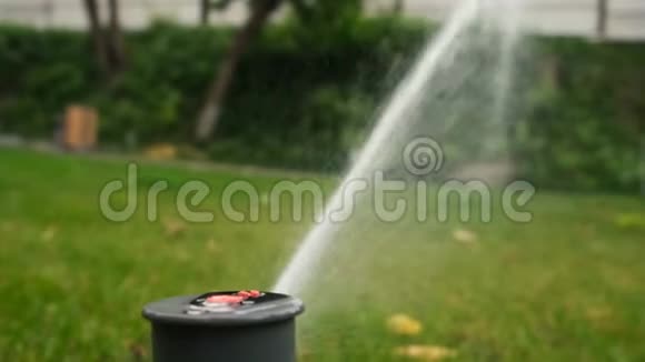 绿化草坪草浇水时的塑料喷雾器花园洒水器在草地上工作慢动作视频的预览图