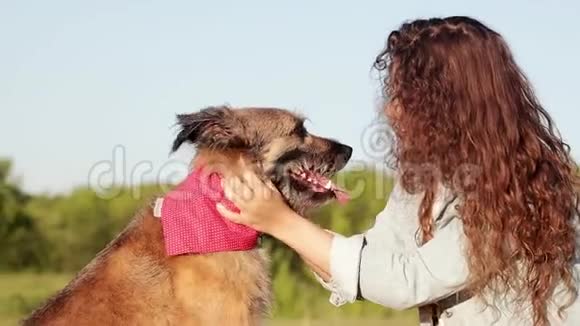 快乐的年轻白种人女人和她的狗在公园夏天视频的预览图