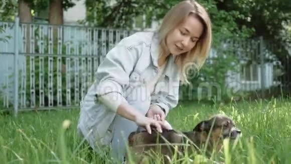 快乐的女孩抚摸她的小狗和狗一起走视频的预览图