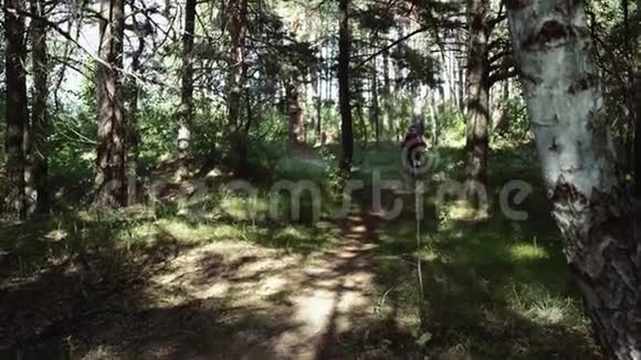 在森林小径上骑山地自行车的活泼的女人在树林里骑自行车的女人视频的预览图