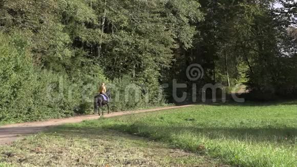 一位身穿黄色夹克衫的金发美女骑着马在一片新修剪的田野上视频的预览图