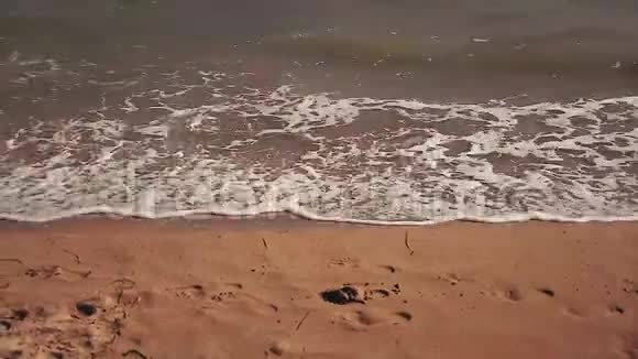 夏日的海岸线波浪视频的预览图