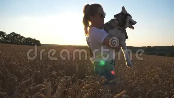 快乐的女孩一头金发双手牵着她的西伯利亚哈士奇狗在草地上的小穗年轻女子视频的预览图