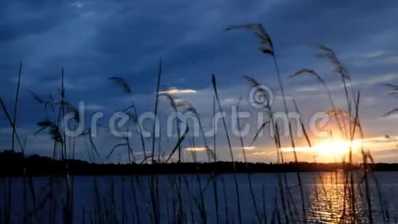 日落时分湖景有海岸线芦苇和大部分多云的天空视频的预览图