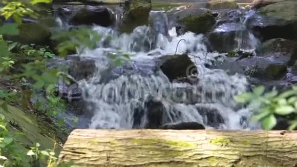 水在岩石上流动特写美丽的花园建筑一个小瀑布的自然背景视频的预览图