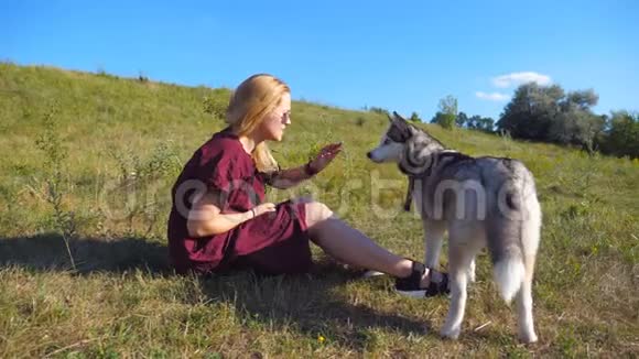 一个快乐的女孩金发坐在草地上的绿草上和她的宠物玩耍女主人支出视频的预览图