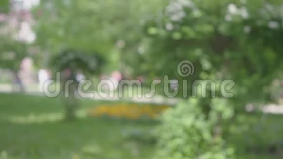 前景特写中男女手相碰背景上美丽的绿色公园休闲视频的预览图