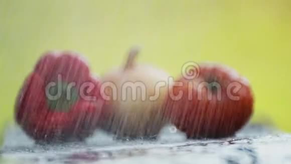 辣椒番茄和洋葱的组成放在一张桌子上放在水流下视频的预览图