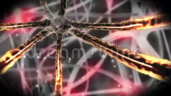 橙色神经元通过神经系统运动视频的预览图