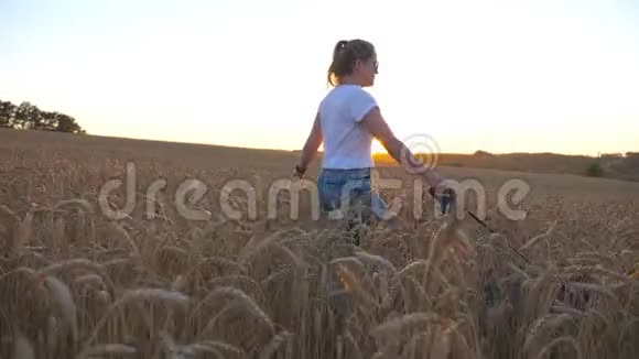 年轻女孩的形象手里拿着金色的麦秆带着西伯利亚哈士奇走在草地上视频的预览图