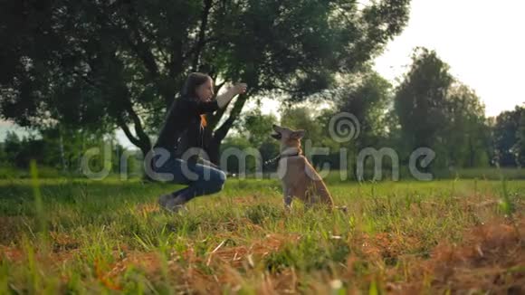 一个小女孩正在公园里训练她的纯种狗视频的预览图