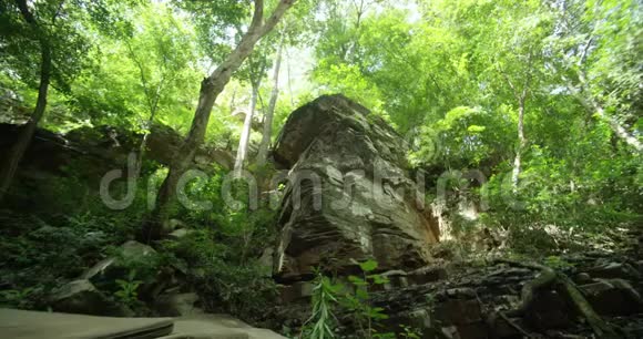热带岛屿上覆盖着热带森林的山峰视频的预览图