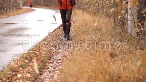一个未被认出的跑步者穿着五颜六色的衣服在春天的落叶中在公园里奔跑从底部看视频的预览图