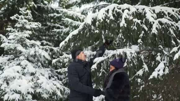 夫妇抛雪树枝视频的预览图