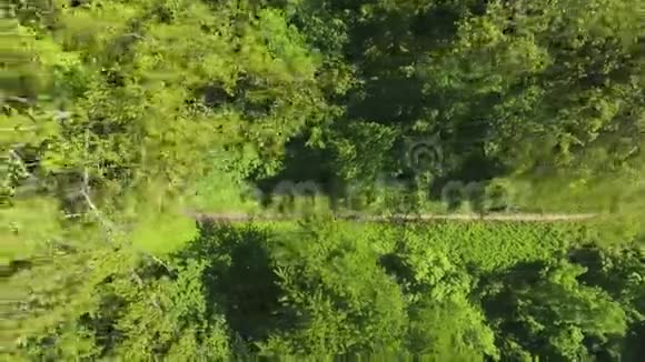 在大树下的夏季森林中慢跑者在小径上的高空向下视频的预览图